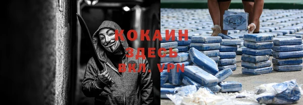 прущие крисы Белокуриха