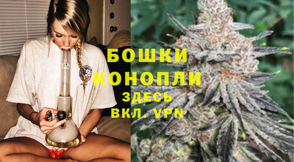 прущие крисы Белокуриха