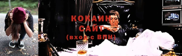 прущие крисы Белокуриха