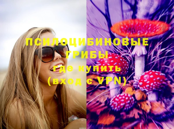 крисы Беломорск