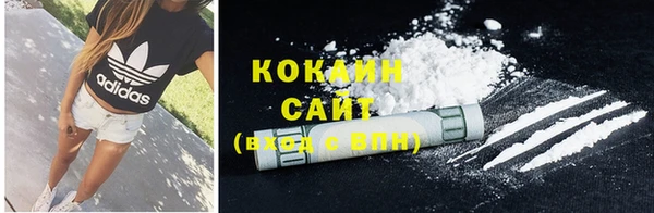 прущие крисы Белокуриха
