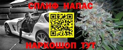 винт Нарткала