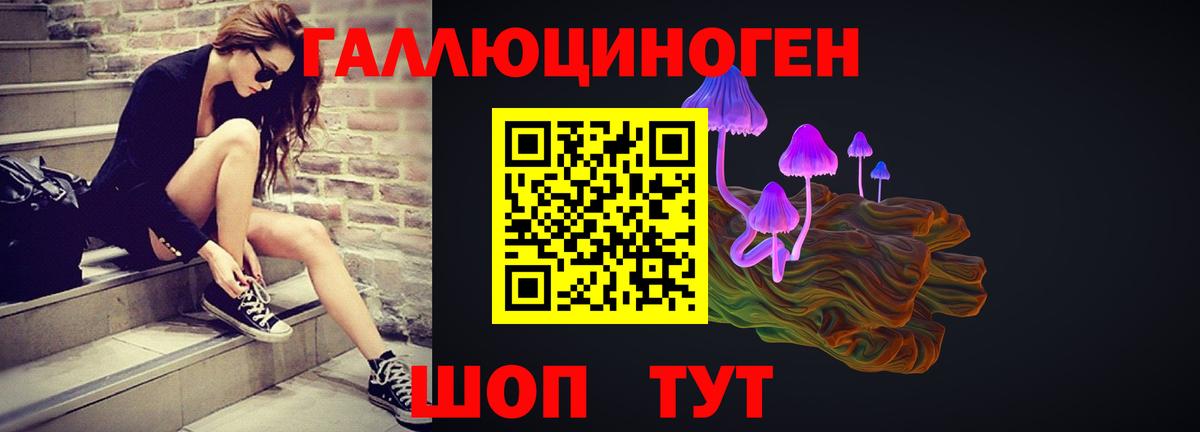 магазин  наркотиков  Вход с VPN  Гулькевичи  Галлюциногенные грибы ЛСД  Галлюциногенные грибы GOLDEN TEACHER 