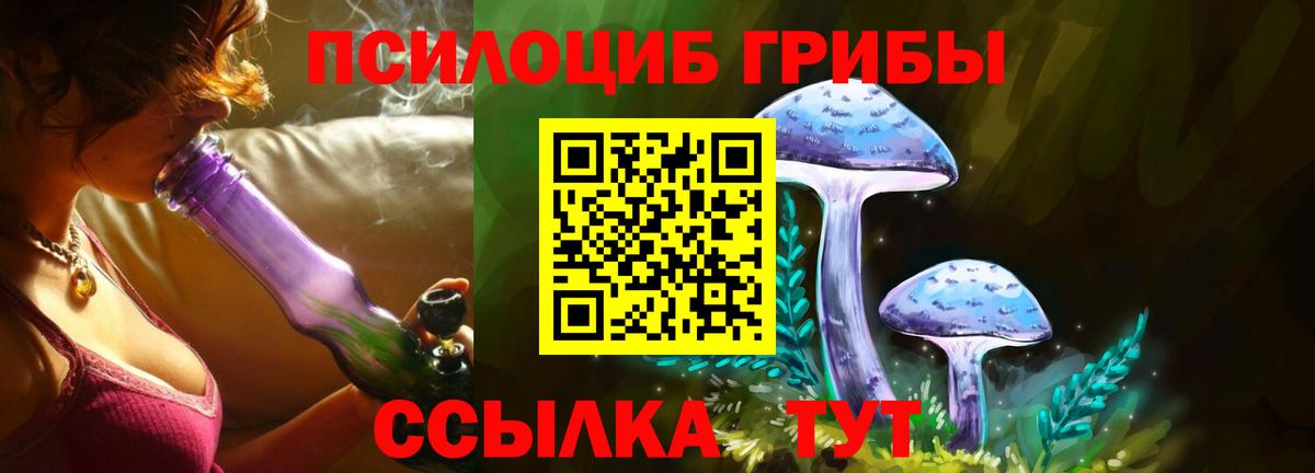Псилоцибиновые грибы мухоморы Гулькевичи