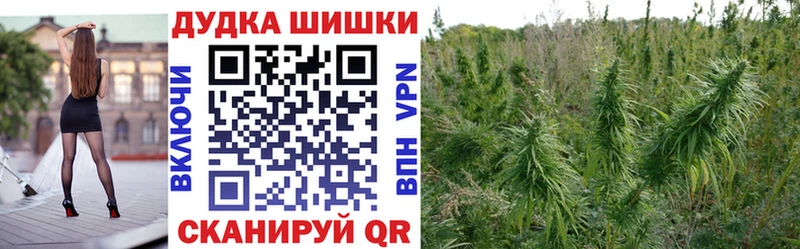 Бошки Шишки гибрид  Гулькевичи 